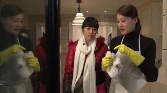 极品妈妈全集在线观看,母爱如山，感人至深  第1张